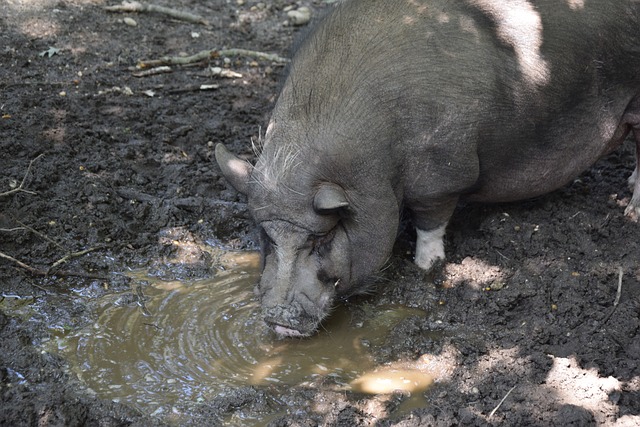 员们深入反 员们深入反