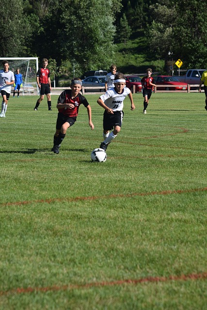 中国乒乓球 中国乒乓球