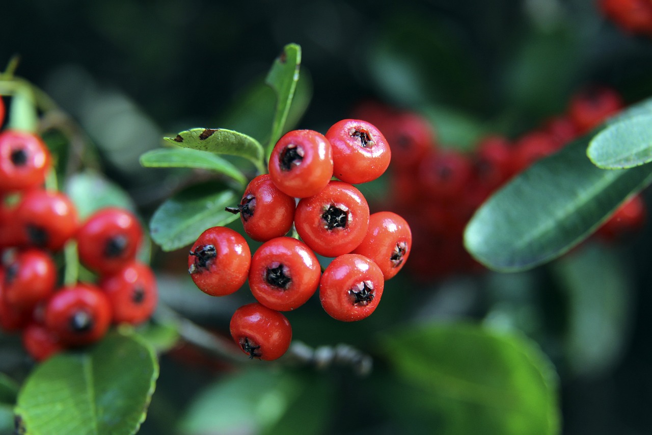 正在稳步提 正在稳步提