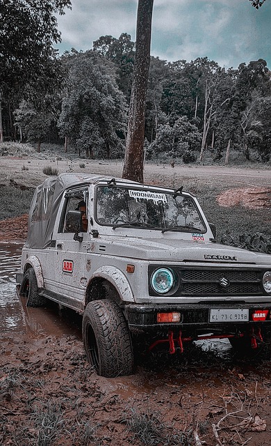 境多了一份 境多了一份