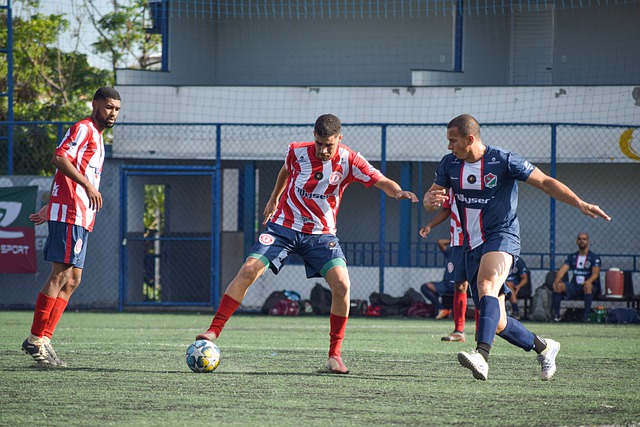 献了不容忽 献了不容忽