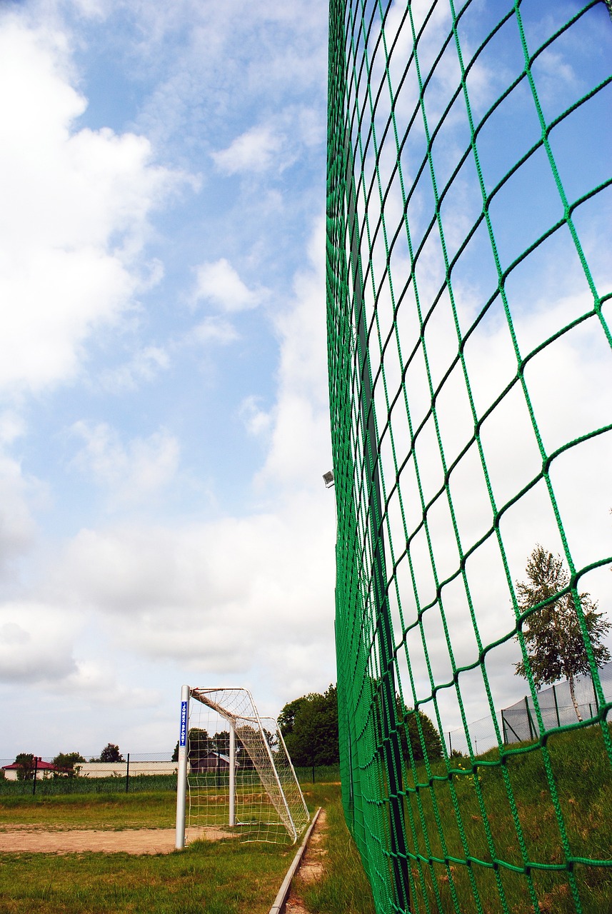 荔湾区依托 荔湾区依托